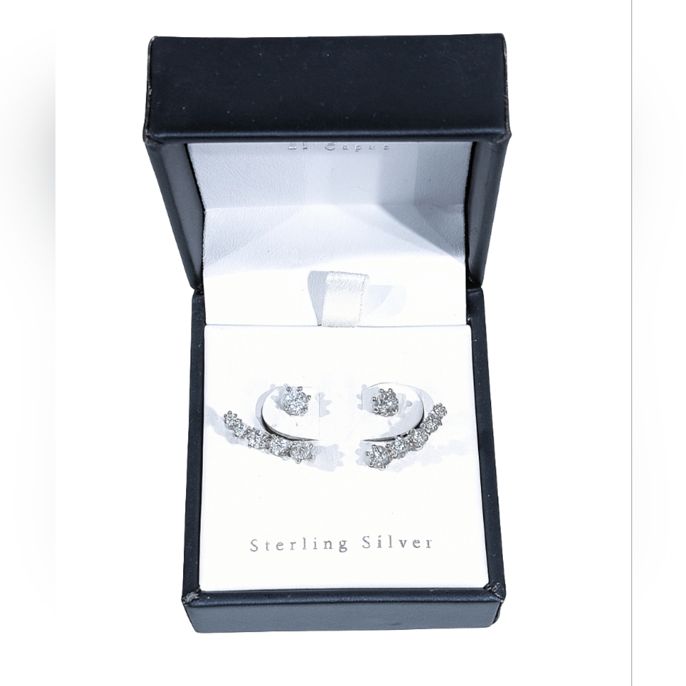 Elegant Silver Starling Earrings